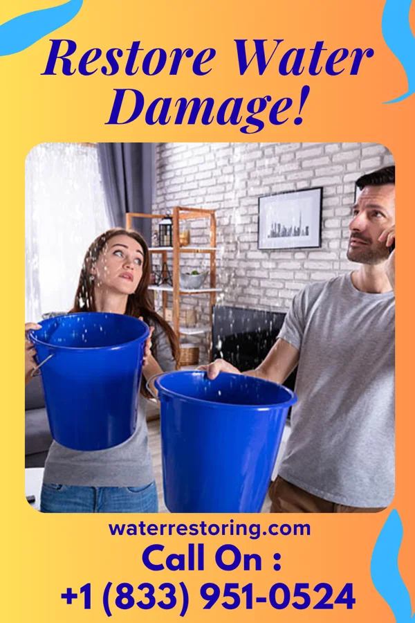 water restoration Solid Damage Restoration Company Old Jefferson