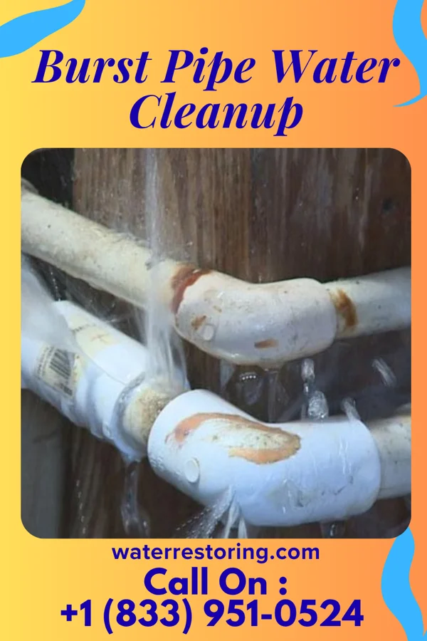 Burst Pipe Water Cleanup in Old Jefferson, LA
