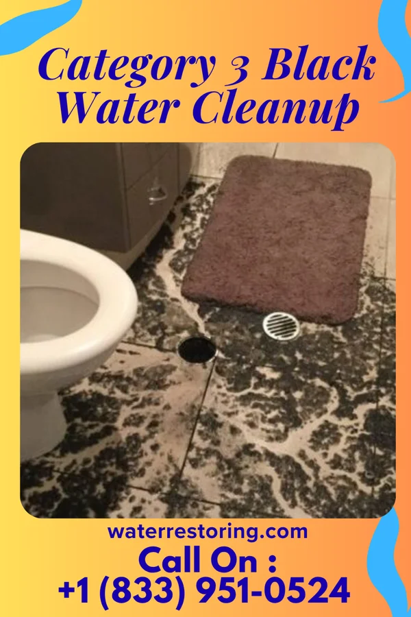 Category 3 Black Water Cleanup in Old Jefferson, LA