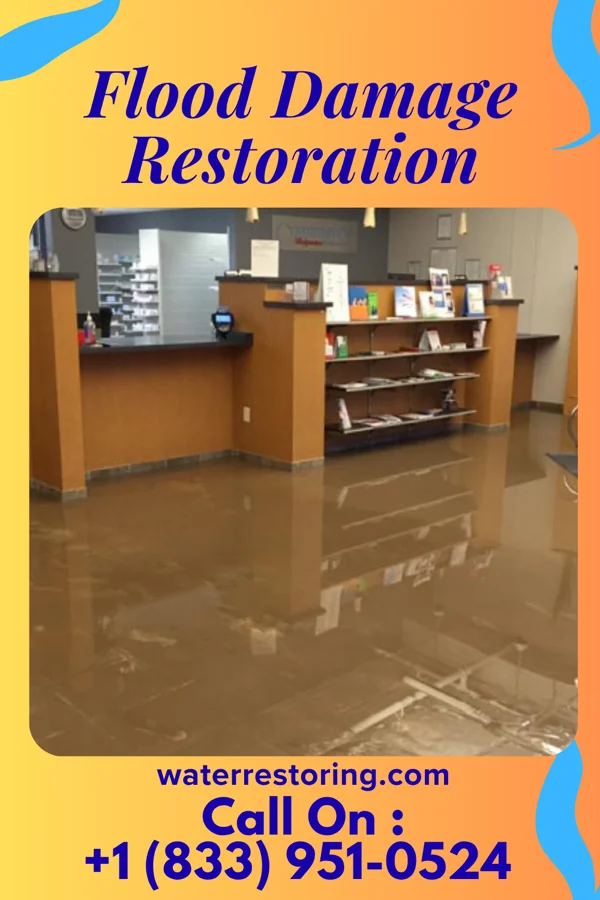 Flood Damage Restoration in Old Jefferson, LA